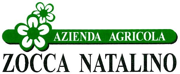 Zocca Natalino